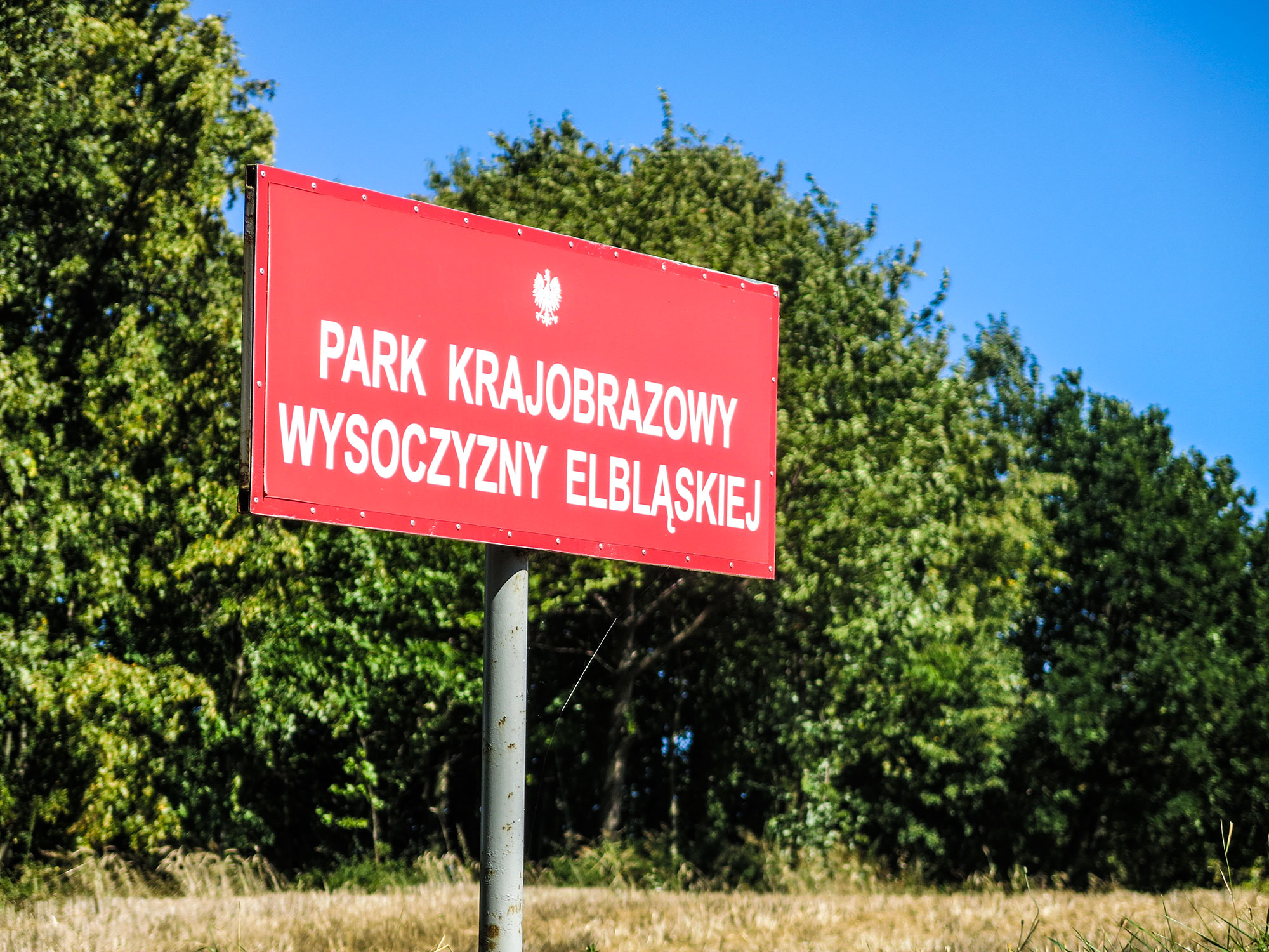 Lasy Wysoczyzny Elbląskiej pod kontrolą leśników