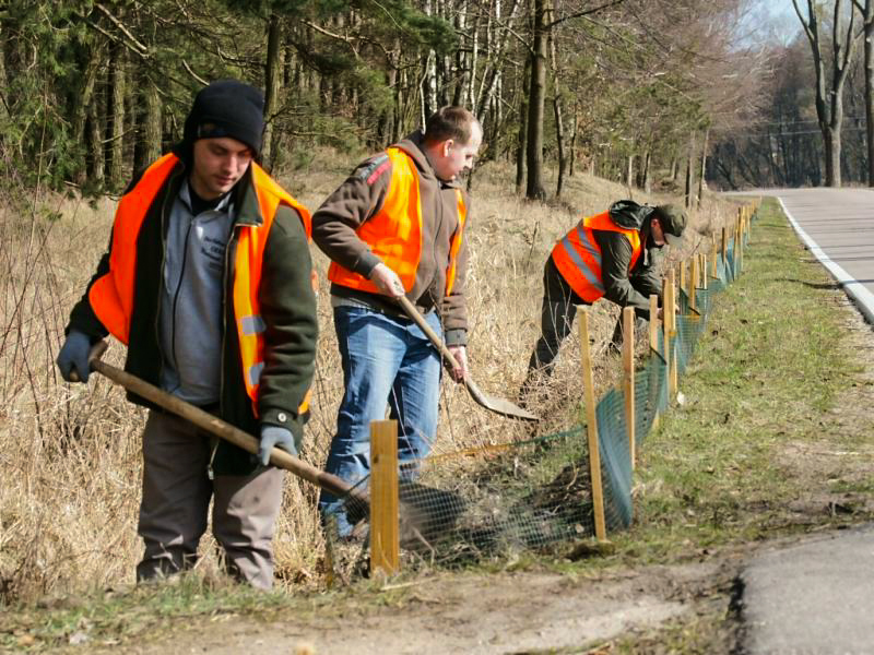 Welski Park Krajobrazowy chroni życie płazów