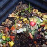 Olsztyn wprowadza ulgi dla mieszkańców kompostujących śmieci bio. „Przydomowe kompostownie są najbardziej ekologiczne”