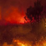 Ogromne pożary w Szwecji i Grecji. Polskie służby zapewniają: Nasze lasy są dobrze monitorowane