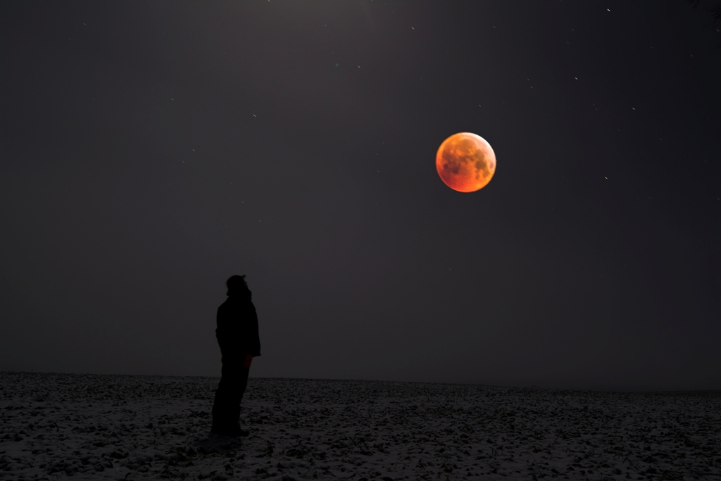 Wernisaż wystawy Pawła Ulaniuka „Ku chwale przyrody” w Oranżerii Kultury