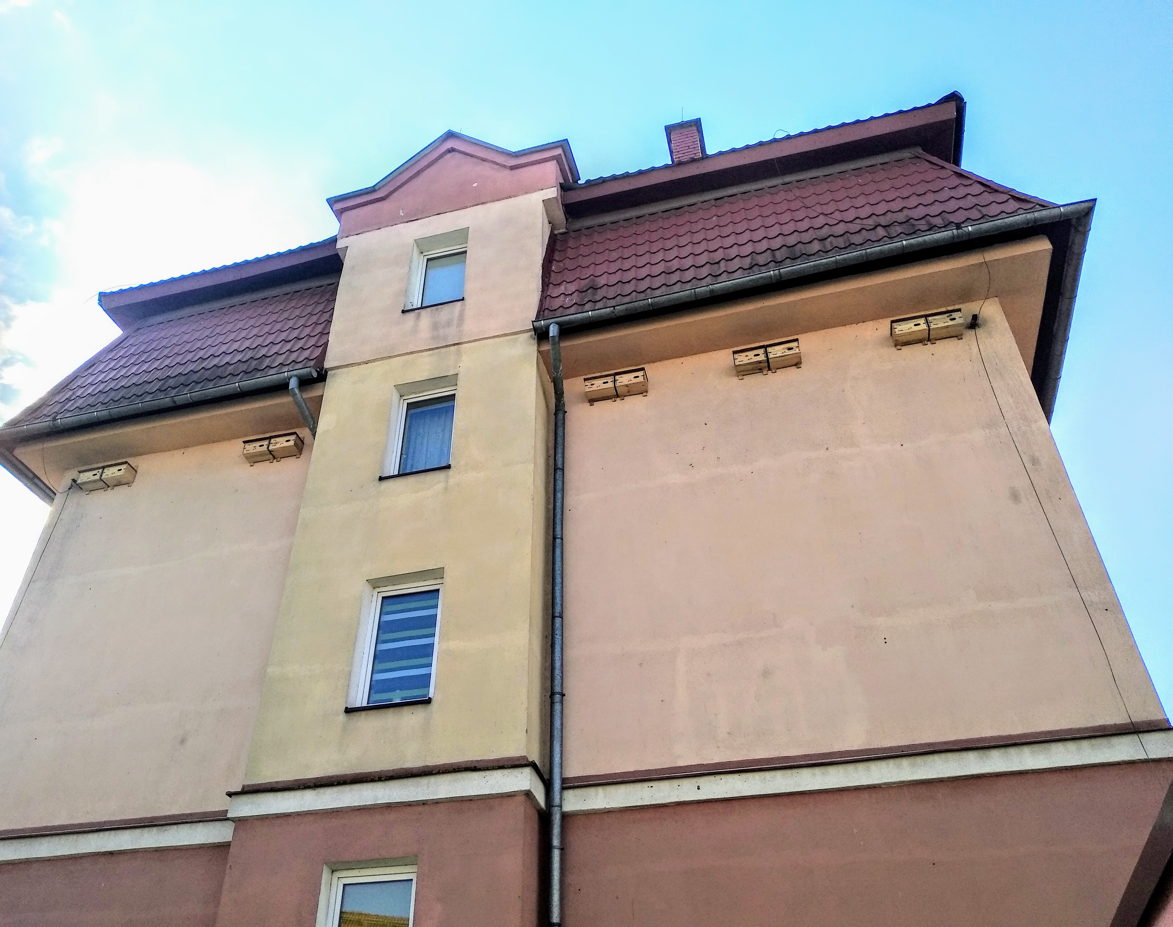 Ełcki ratusz pomaga ptakom. W mieście pojawiły się budki dla jerzyków