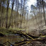 „Czarcia Kępa” – nowy rezerwat w województwie warmińsko-mazurskim