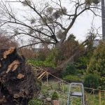 Wichura powaliła drzewa. Uszkodzone domy i garaże