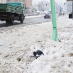 Hulajnogi porzucone w zaspach śniegu. Czy są zagrożeniem dla przechodniów?