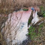 Zanieczyszczenie rzeki Iławki. Są trudności w znalezieniu winnego