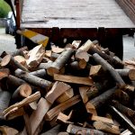 Drewno opałowe alternatywą dla węgla. Leśnicy notują rekordowe zainteresowanie