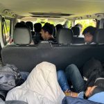 Kilkunastu nielegalnych migrantów w busie. Zatrzymała ich straż graniczna