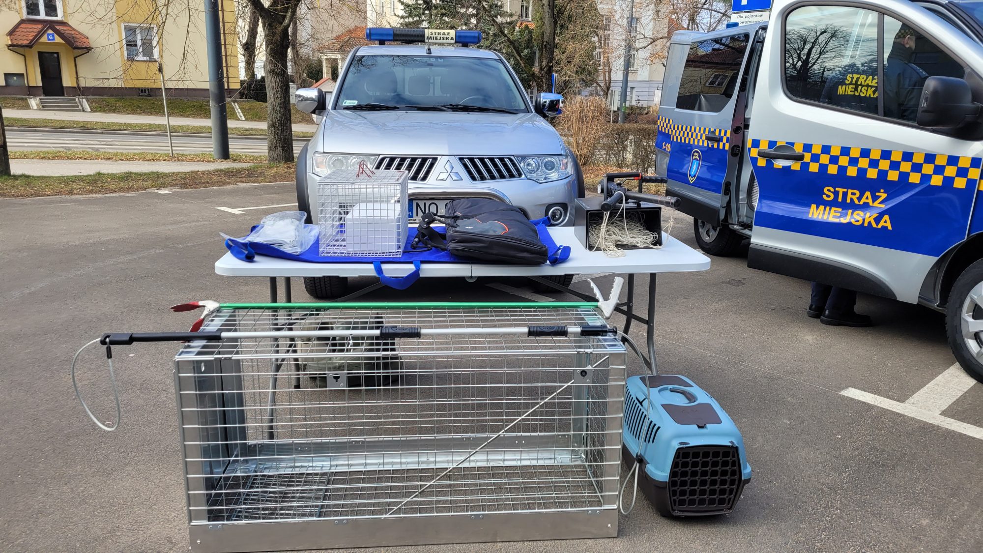 Eko-Patrol i nowe programy. Czas na kolejną kadencję Zespołu ds. Zwierząt