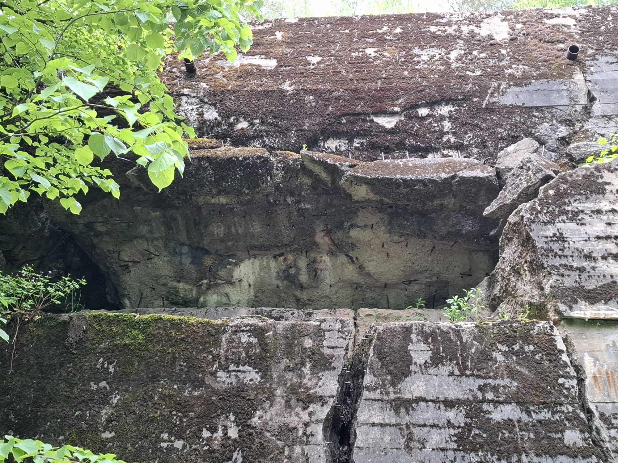 „Wysoki las” – kwatera wojenna Heinricha Himmlera