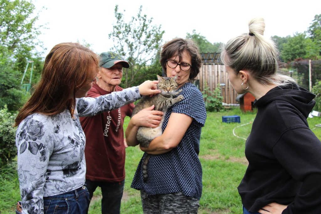 Finał Lata z Pupilem 2025. Fot. Ł. Sadlak