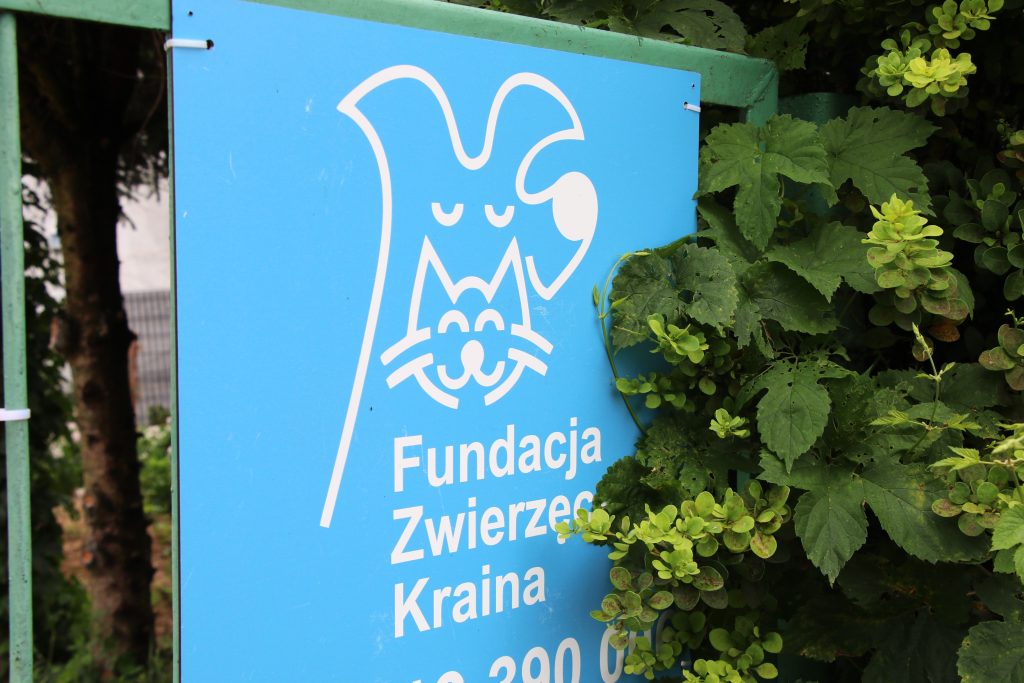 Finał Lata z Pupilem 2025. Fot. Ł. Sadlak