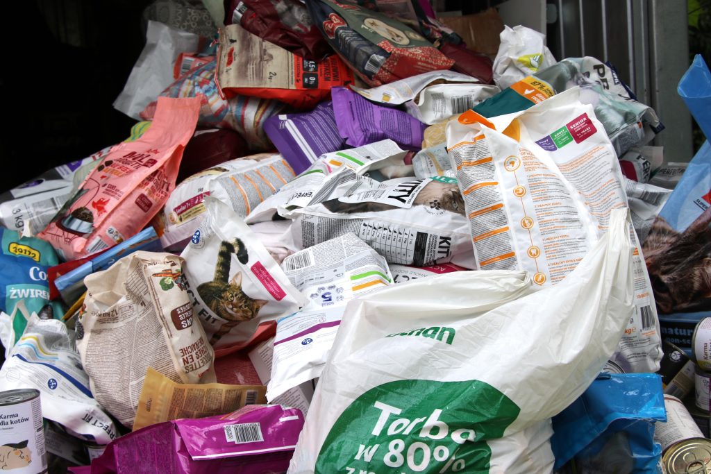 Finał Lata z Pupilem 2025. Fot. Ł. Sadlak