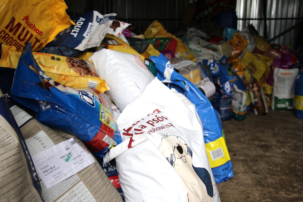 Finał Lata z Pupilem 2025. Fot. Ł. Sadlak