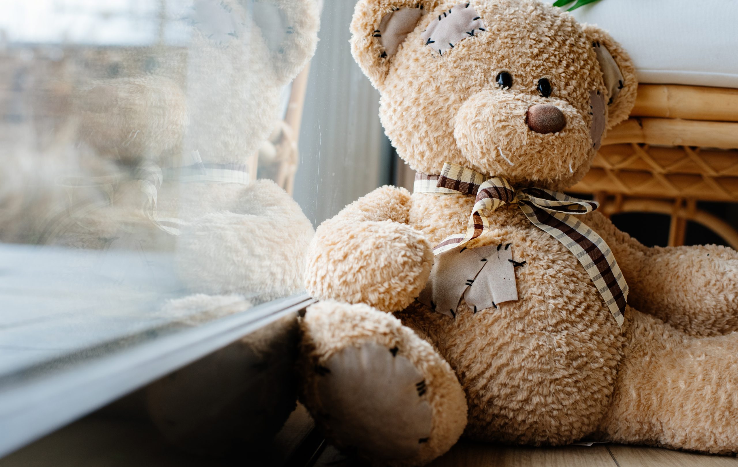 Oddaj misia na chwilę. W Ełku powstaje niezwykła wystawa