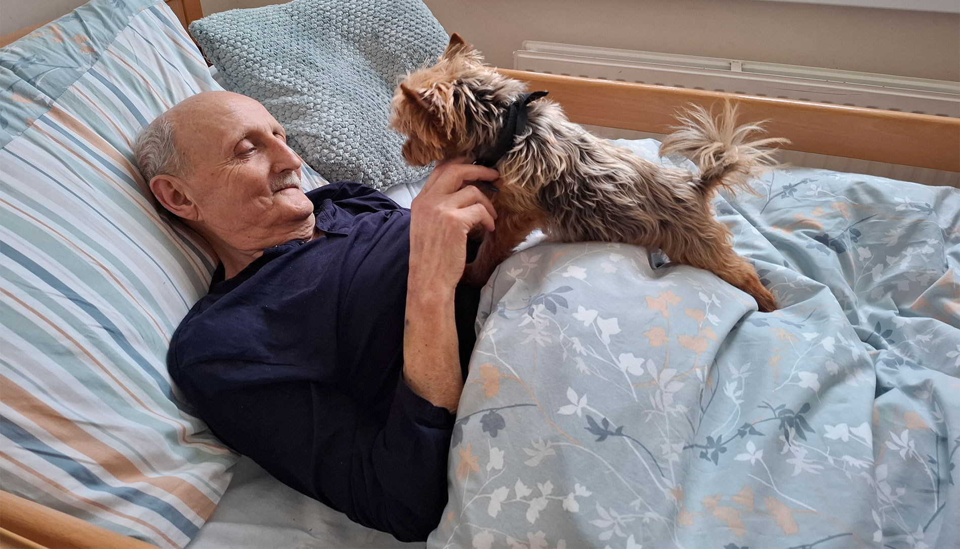 Psy-jaciele w hospicjum