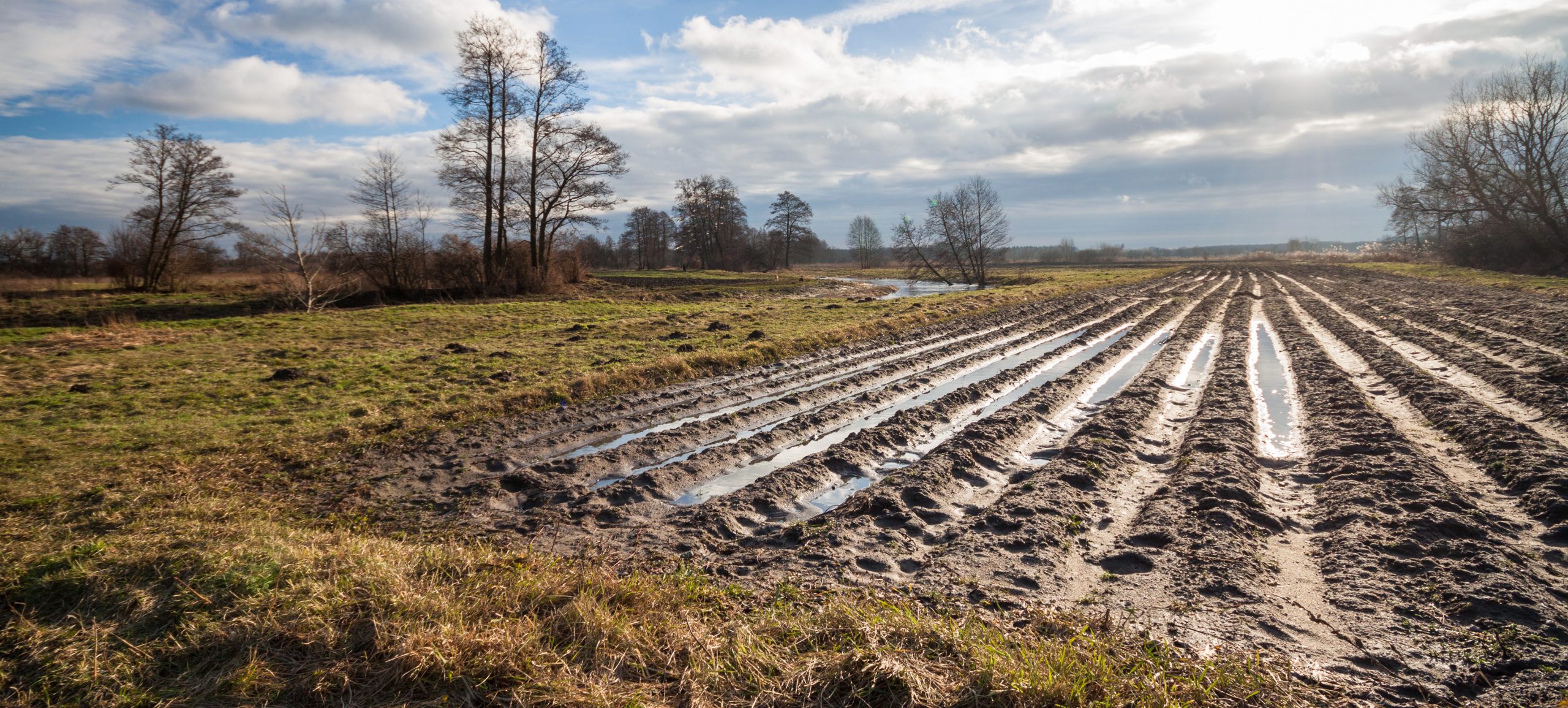 Woda na polach i widmo suszy. Trudna sytuacja rolników