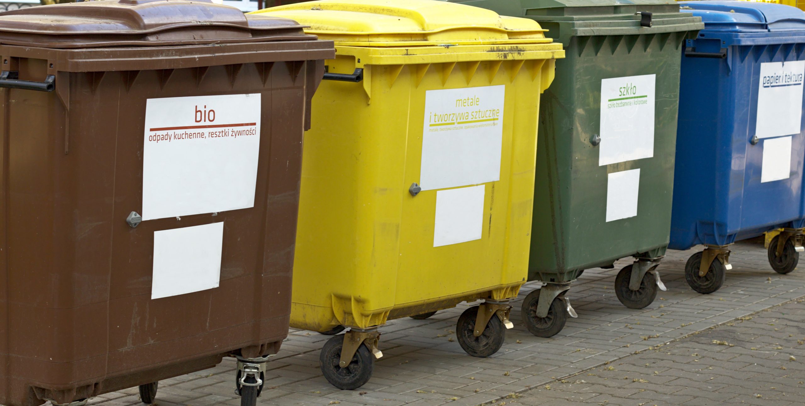 Segregacja bioodpadów w Olsztynie. Jak mieszkańcy radzą sobie z nowymi zasadami?