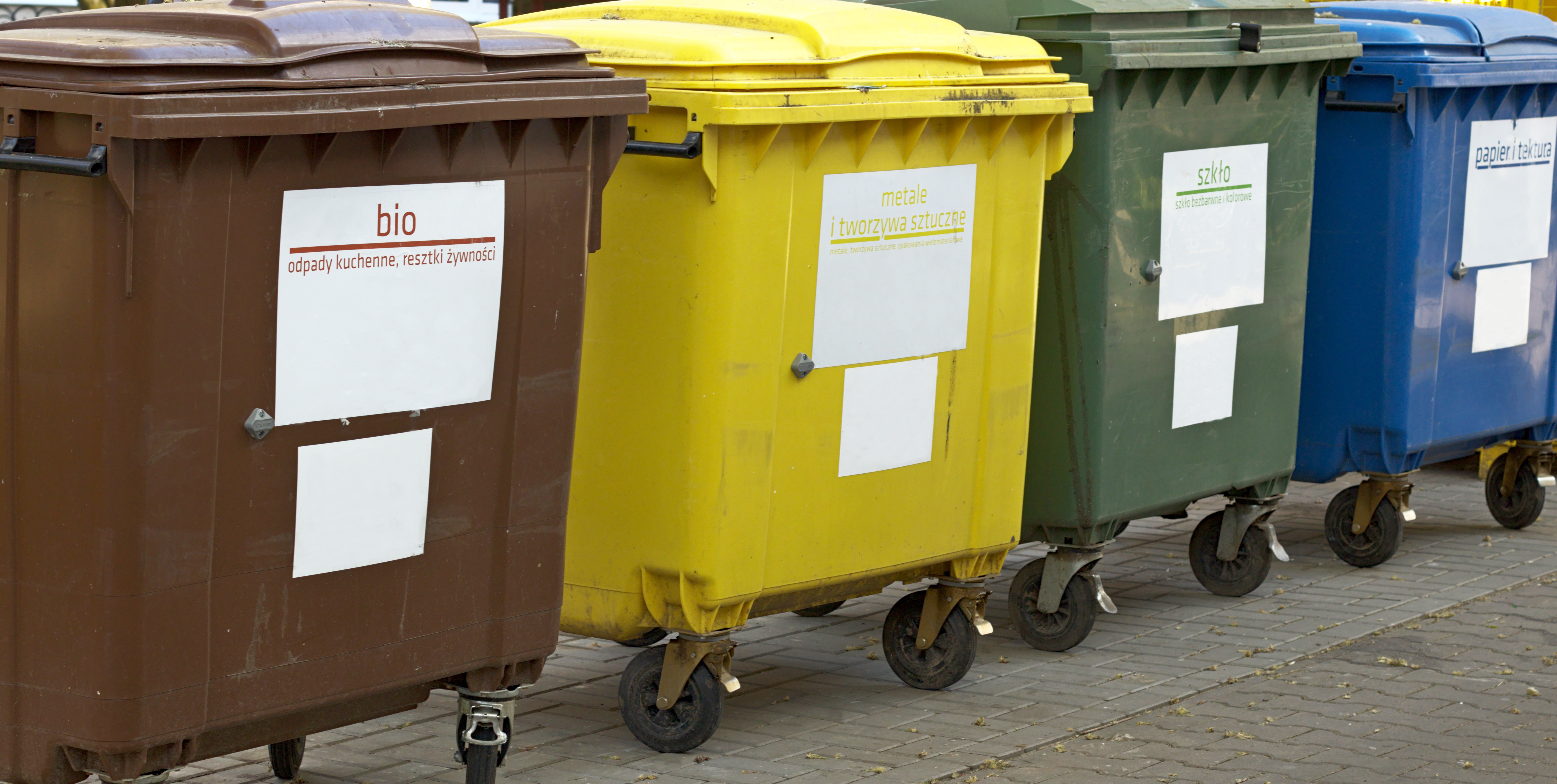Segregacja bioodpadów w Olsztynie. Jak mieszkańcy radzą sobie z nowymi zasadami?