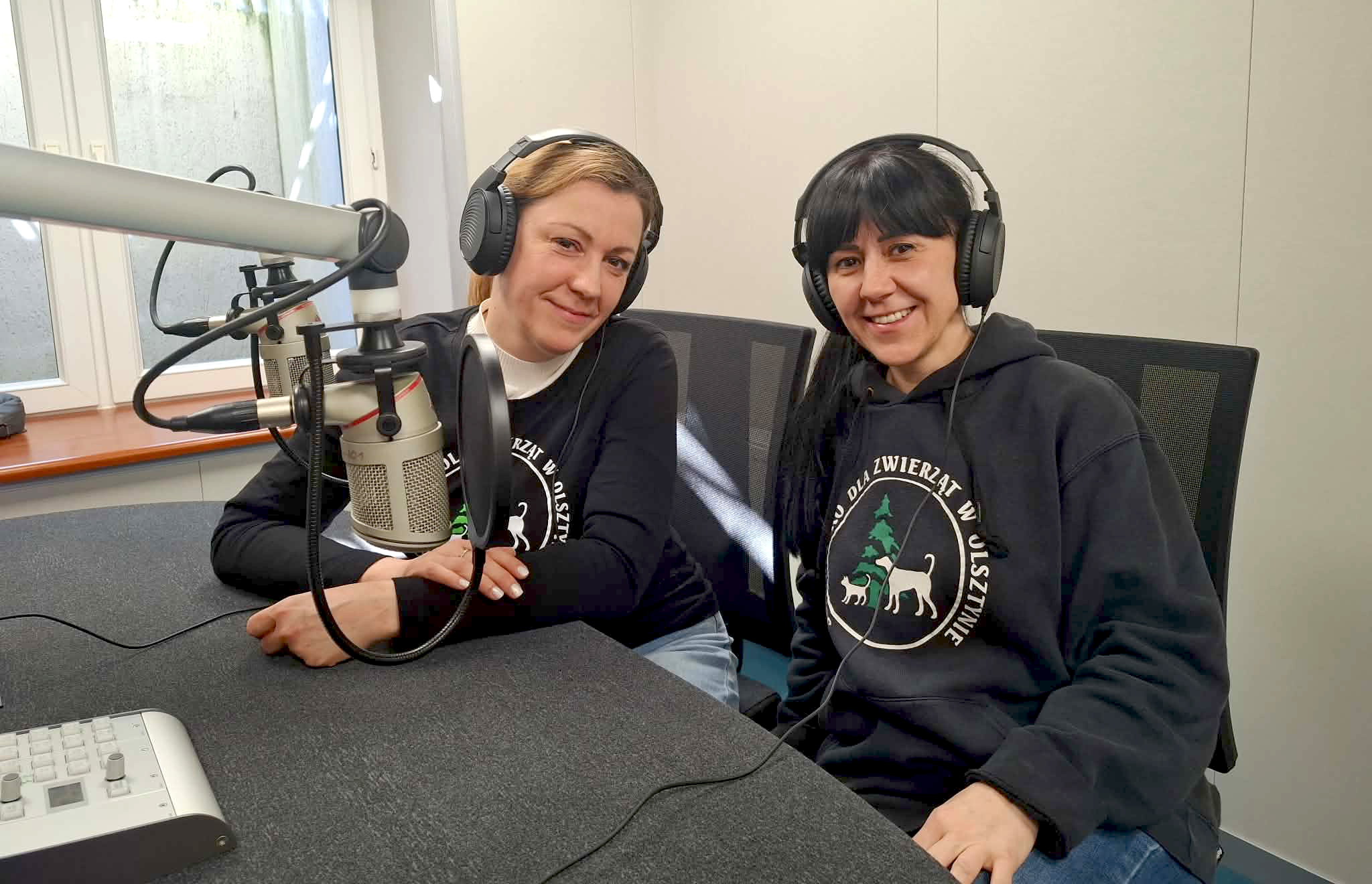 Cztery Łapy: Na czym polega wolontariat w schronisku dla zwierząt?