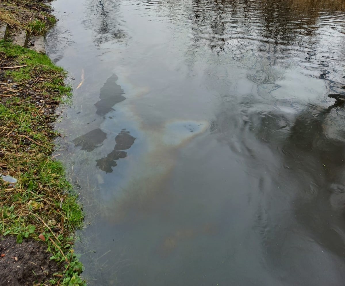 Substancja ropopochodna w Węgorapie. Kto zanieczyścił rzekę?