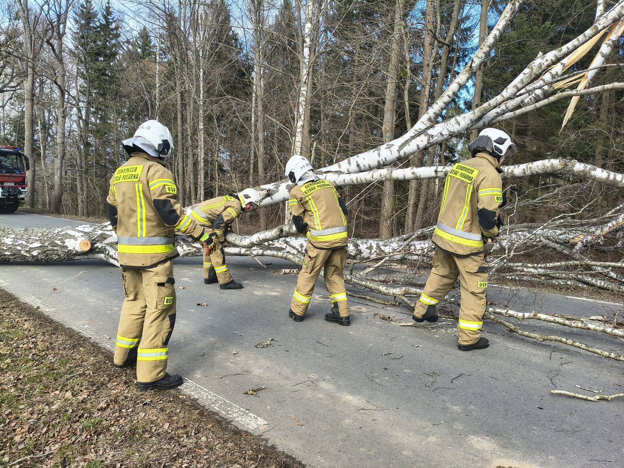 Połamane drzewa, uszkodzone dachy. Strażacy walczą ze skutkami wichury