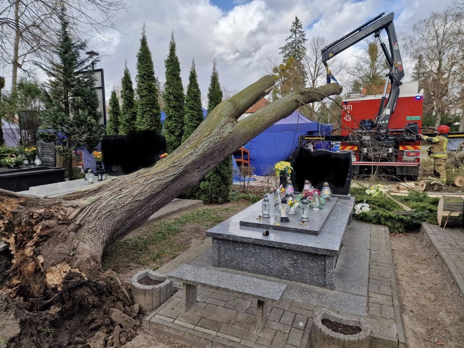 Skutki wichury w regionie: awarie prądu, powalone drzewa i uszkodzone dachy