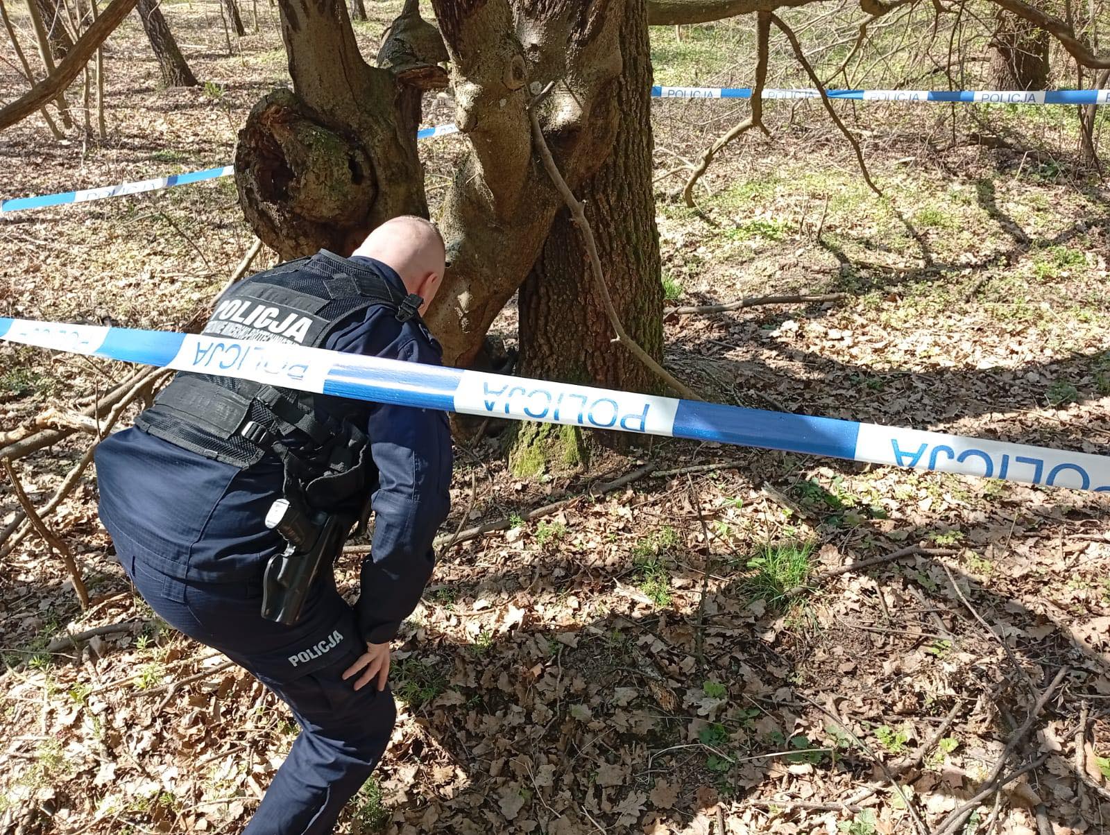 Granat z okresu II wojny światowej znaleziony w lesie