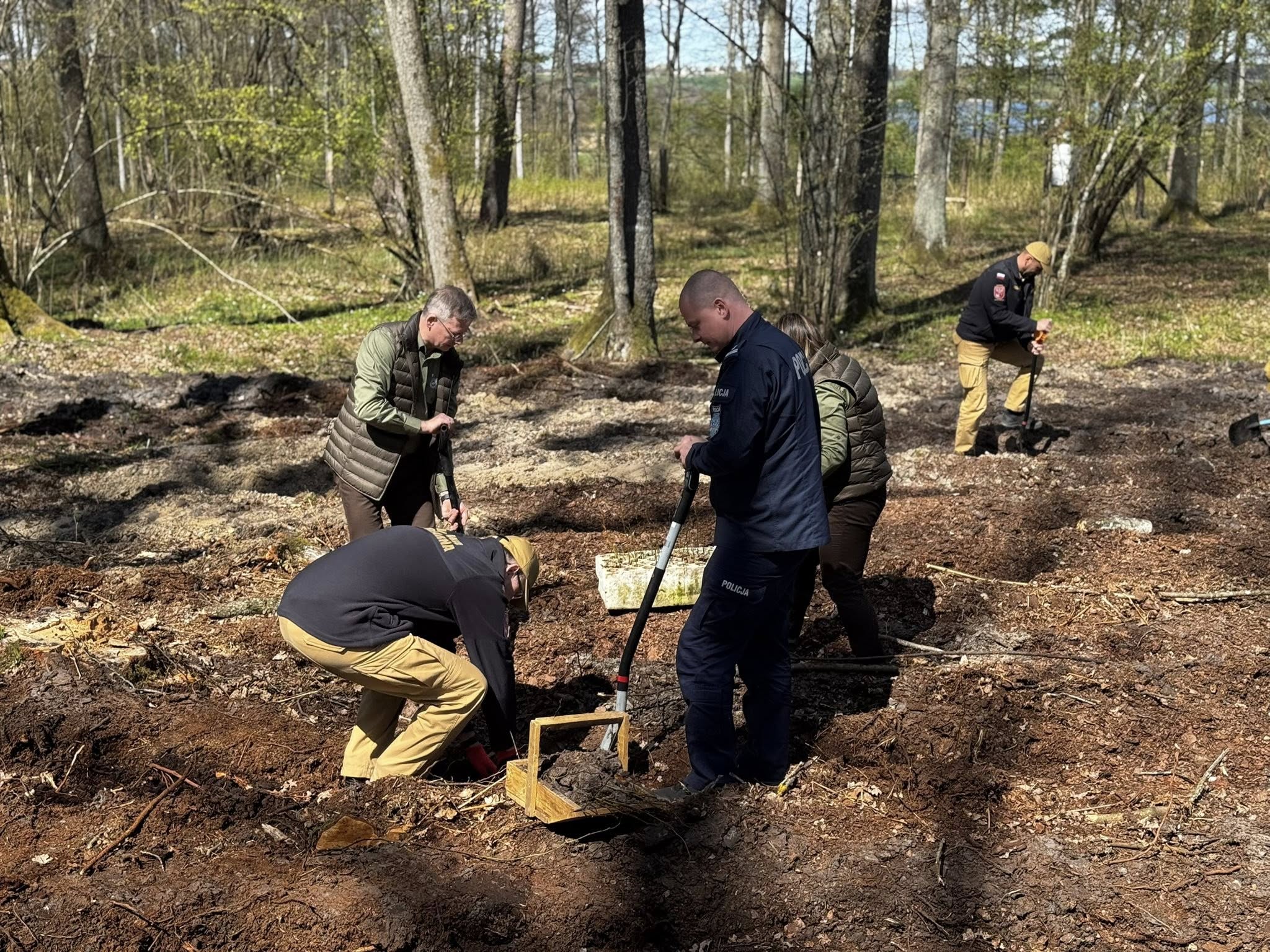 Święto Lasu w Wyrandach. Posadzono 3 tysiące drzew