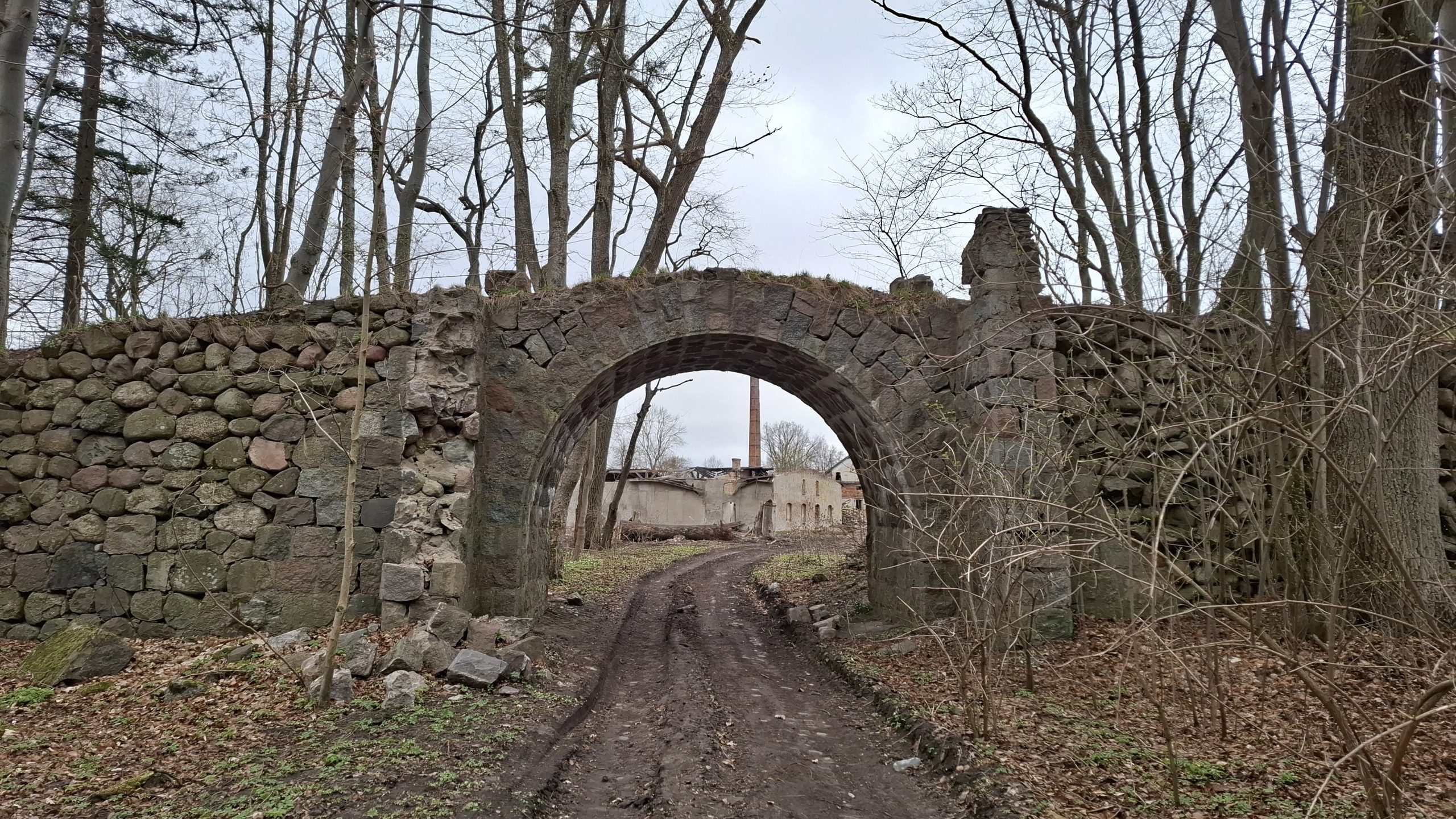 Tajemnice parku w Dylewie. Posłuchaj audycji Odkryj Warmię i Mazury