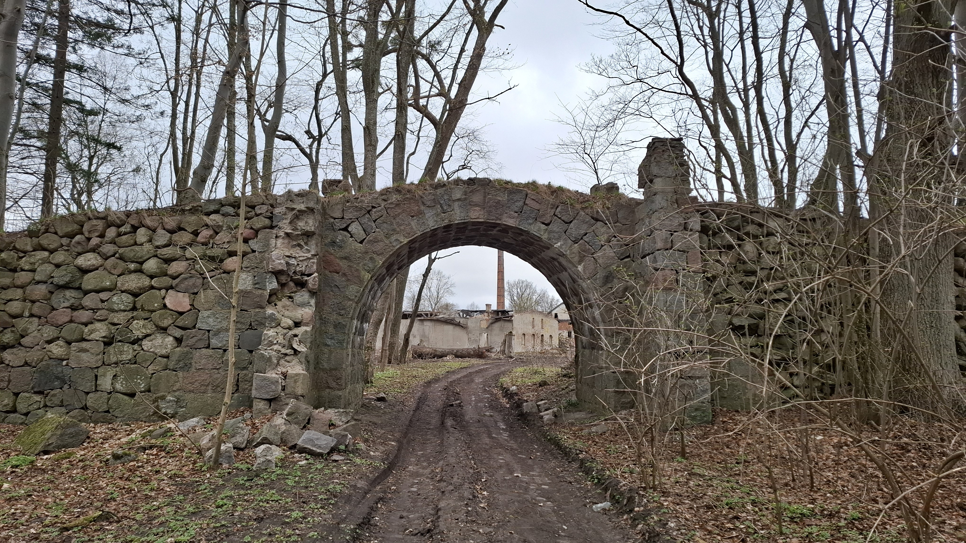 Tajemnice parku w Dylewie. Posłuchaj audycji Odkryj Warmię i Mazury