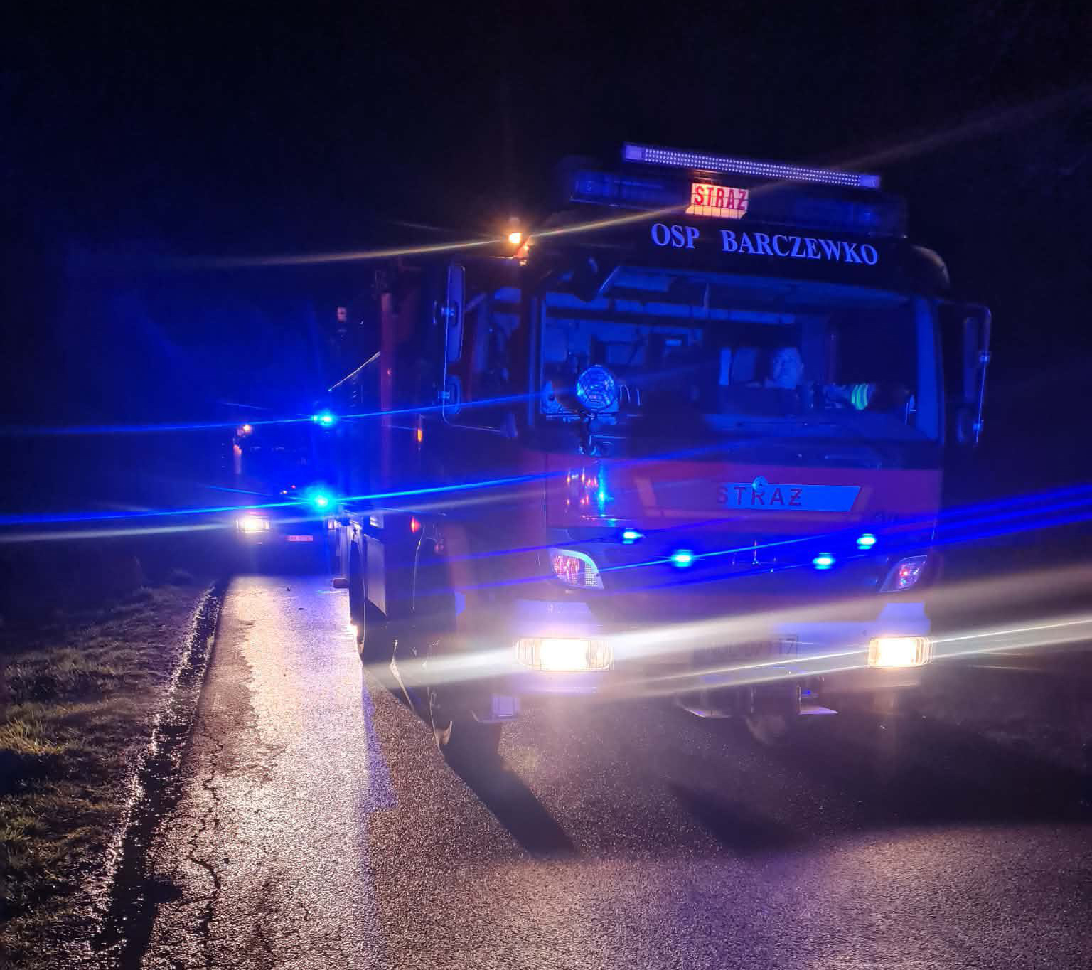 Samochód uderzył w drzewo i spłonął. Nie żyje kierowca.