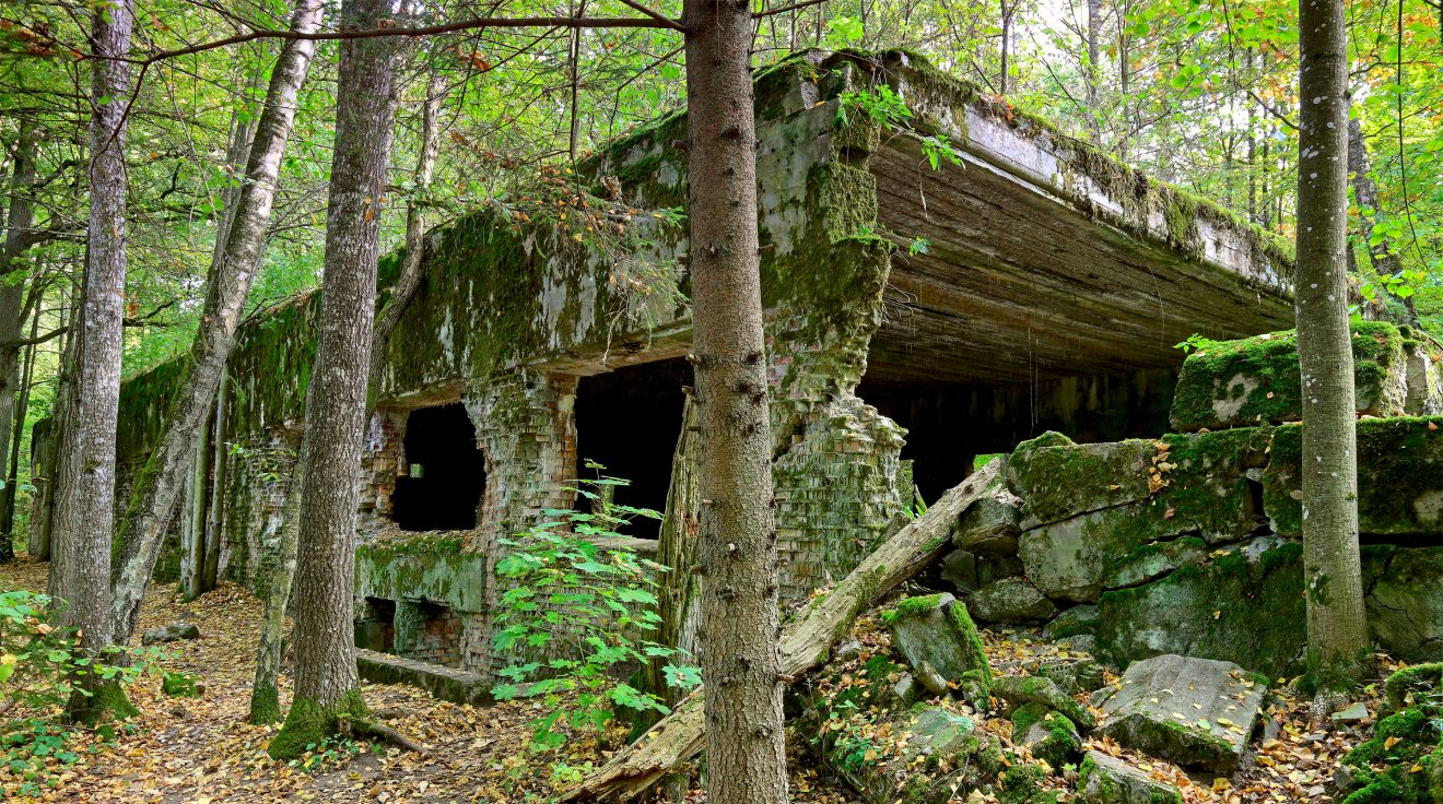 Kto zginął w domu Göringa? Archeolodzy wznowili badania w Wilczym Szańcu
