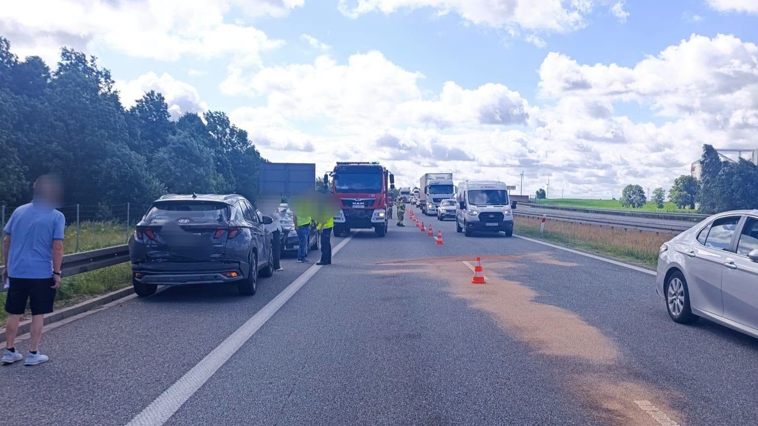 Niecodzienna przyczyna kolizji na S7. Łabędź uderzył w szybę pędzącego auta