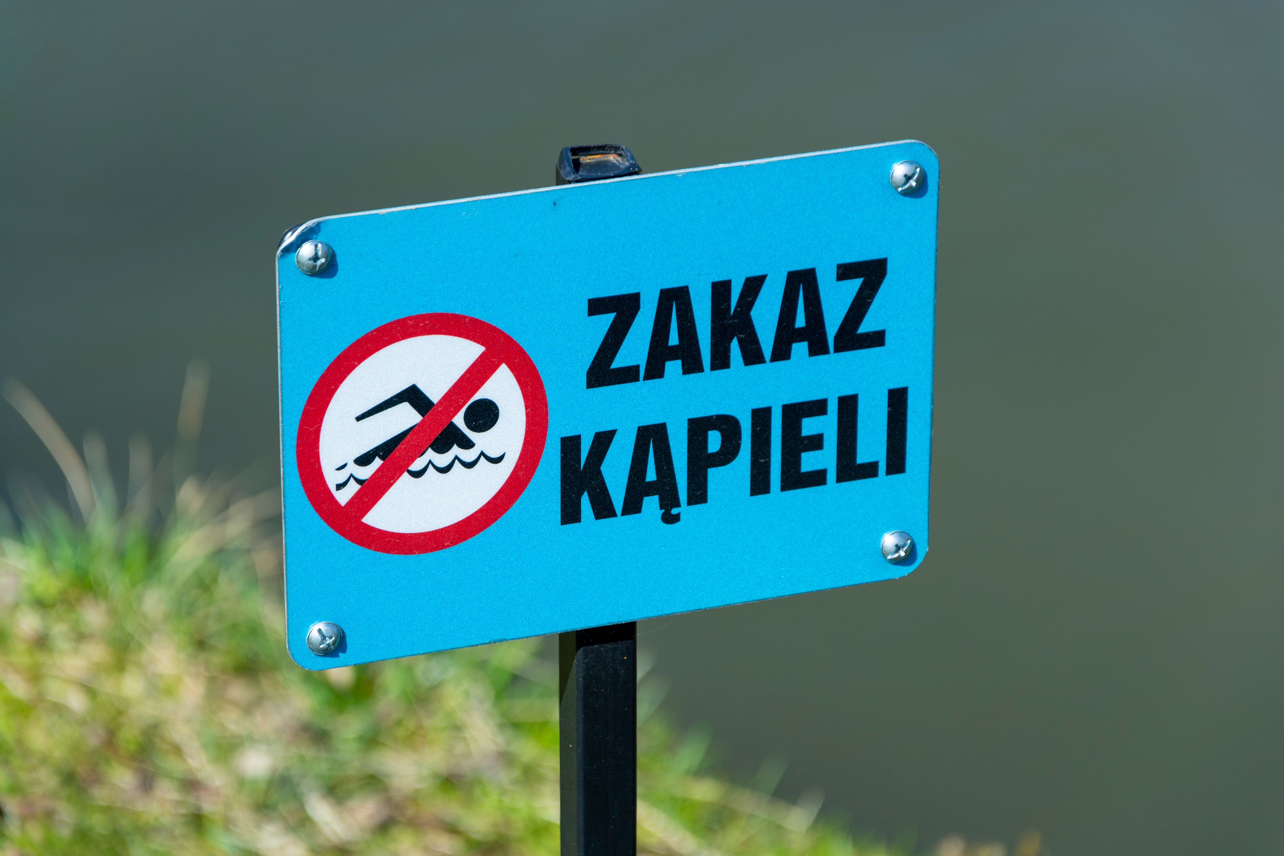 Zakaz kąpieli nad jeziorem Drwęckim w Ostródzie