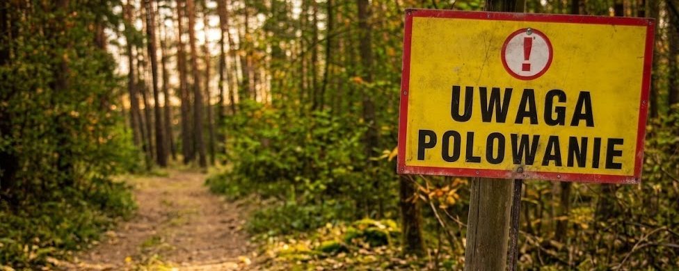 Zdjęcie wygenerowane przez AI