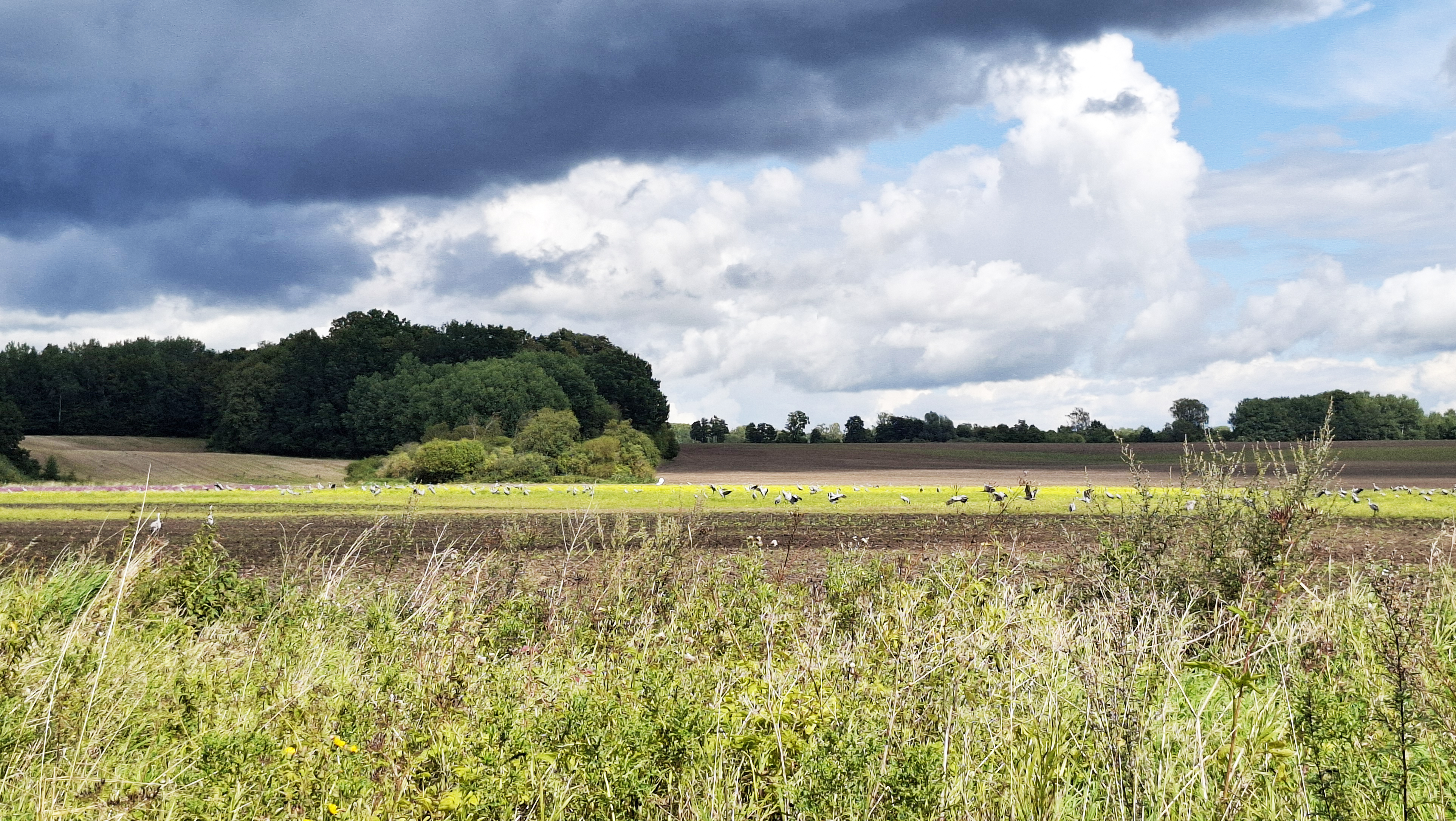 Północ, północny-wschód – część 8