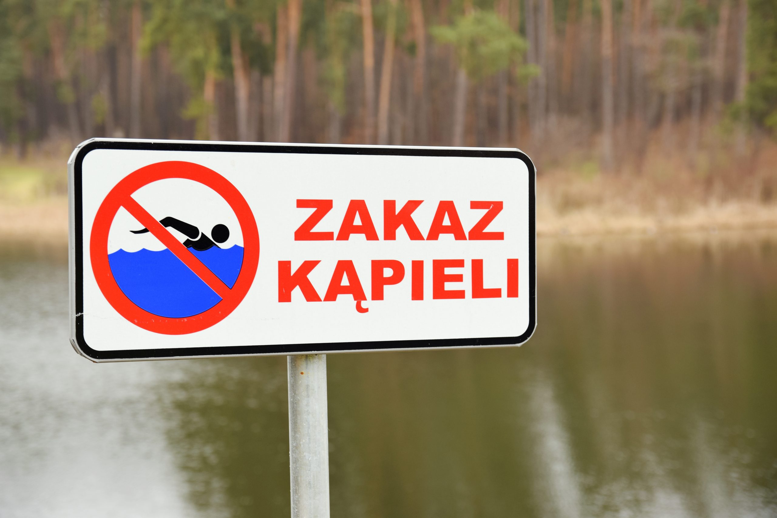 Sinice w regionie. Zakaz kąpieli w Mikołajkach i na części kąpielisk w Olsztynie
